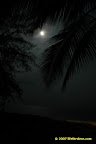 enchanting enchanting