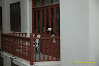 its black, its white... its black, its white...