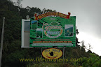 Bharat Plantation, along Tanah Rata Bharat Plantation, along Tanah Rata