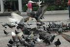 Dancing in the air Dancing in the air