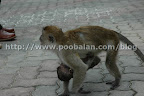 No burden too big for mother No burden too big for mother