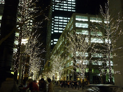 20091222iluminacion