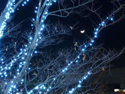 20091222iluminacion