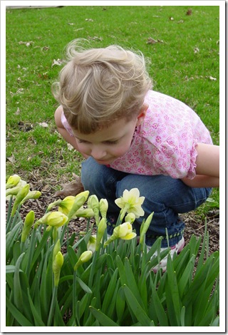 06-daff