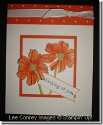 Fifth_Avenue_Floral_in_Tangerine_Tango_thumb[3]