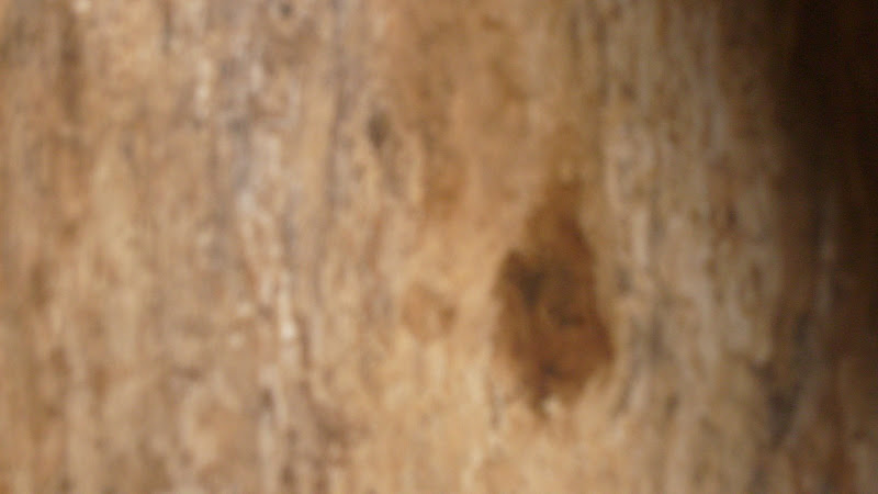 S6304547.JPG