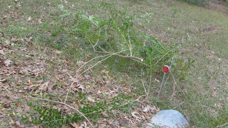 S6304554.JPG