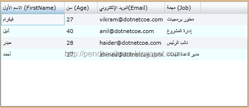 [Bidi5[7].png]