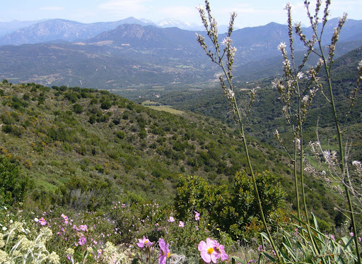 picture of tit site