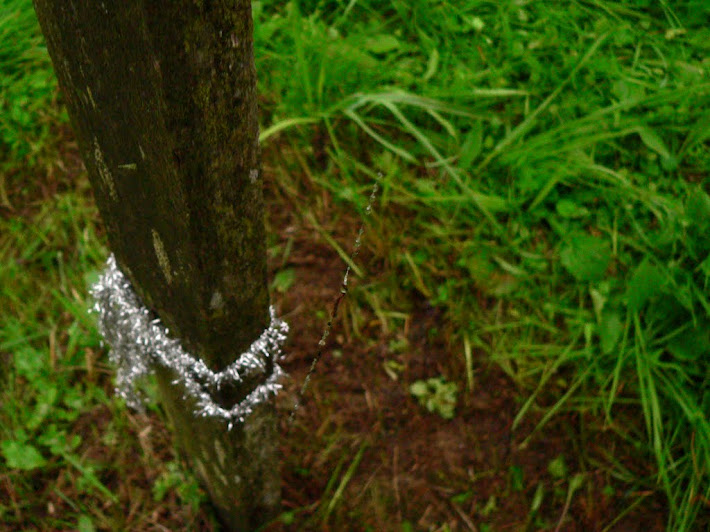 spider web with raindrop and silver christmas ornament on a grave