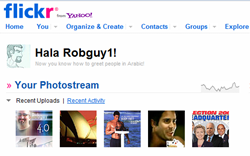 [yahoo[4].png]