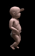 [baby4[3].gif]