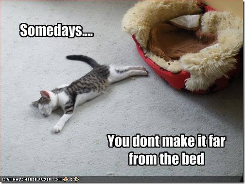 bedtime