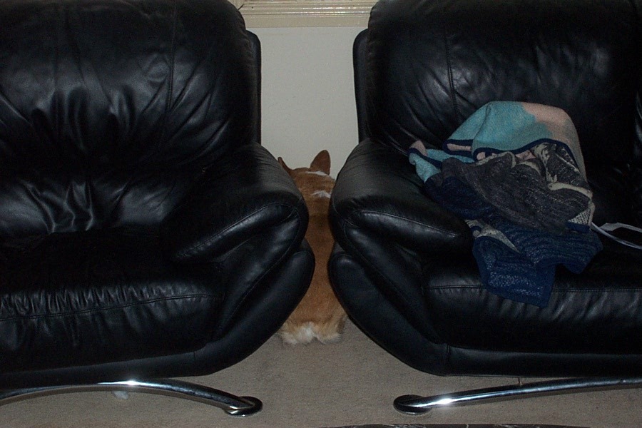 [ozcouch[6].jpg]