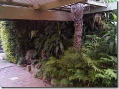 IMG00245-20110104-1958