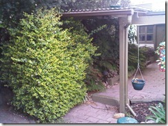 IMG00243-20110104-1954