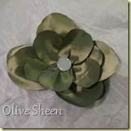 Olive Sheen