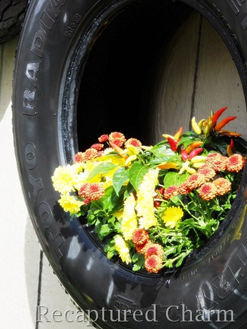 [fall tires 013a[9].jpg]