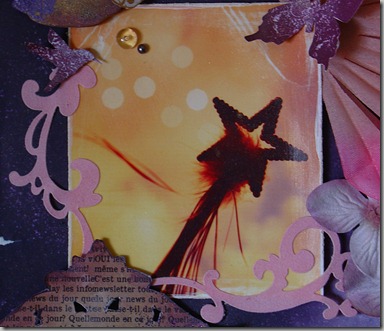 Photo- -Arabesque-velours Photo- -Arabesque-velours