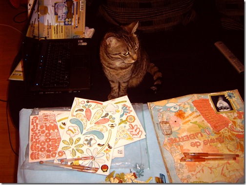 Doudou-Scrap-2 Doudou-Scrap-2