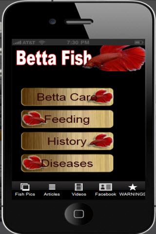 BETTA FISH CARE