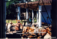 &copy; enlamochila.com