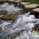 100_0278.jpg