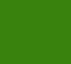 [kelly green[9].png]