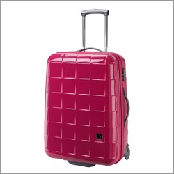 [pink luggage[2].jpg]