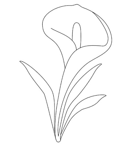 calas para dibujar imagui calas para dibujar imagui