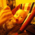 P1203681.JPG