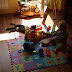 P7155960.JPG