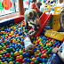 P9066378.JPG