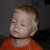 PB077159.JPG