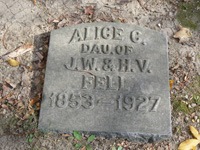 [Alice Fell[2].jpg]