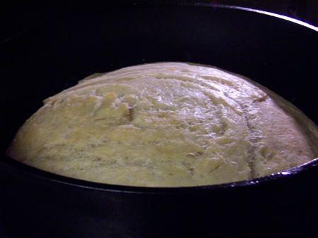 [cornbread 022[4].jpg]