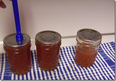 grapefruit-marmalade 022