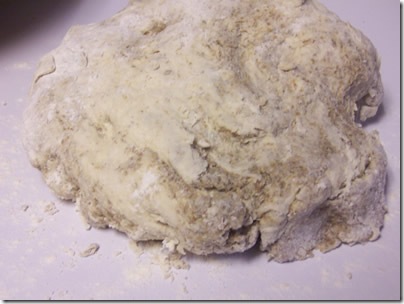 BBA-sunflower-seed-rye 013