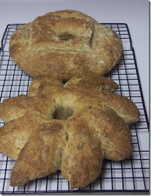 BBA-sunflower-seed-rye 040