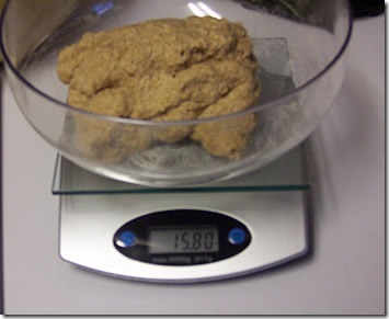 whole-wheat-olive-oil-bread 004 whole-wheat-olive-oil-bread 004