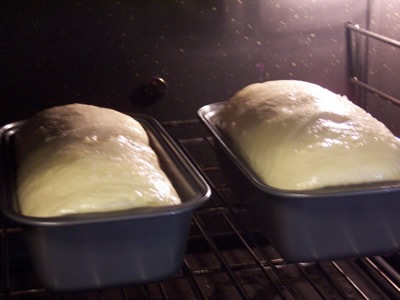 [BBAwhitebread0414.jpg]