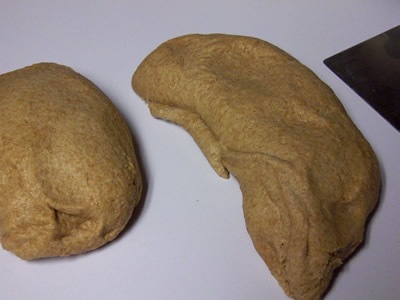[BBA-whole-wheat-bread 020[4].jpg]