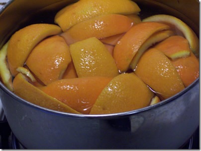 Candied-Orange-Peel 005