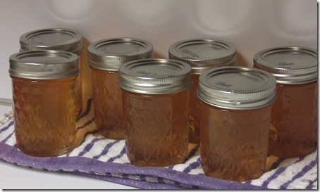 apple-jelly-and-sauce 025
