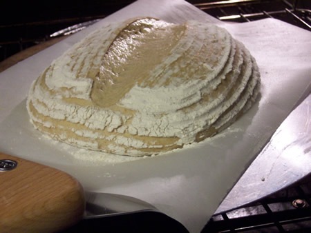 [basic-savory-bread-dough 021[5].jpg]