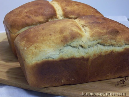 artisan bread baking. artisan bread with a