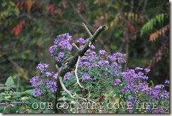 DSC_0045 DSC_0045