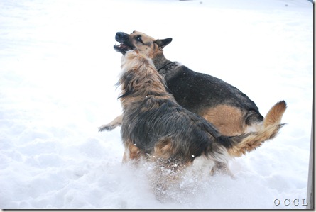 DSC_0040 DSC_0040