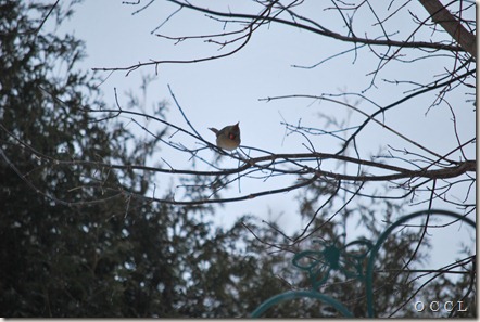 DSC_0002 DSC_0002