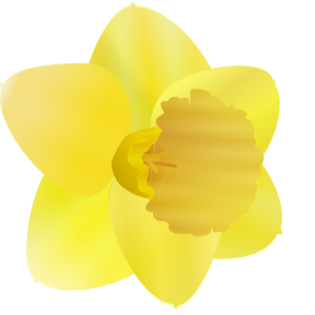 [daffodil[6].png]